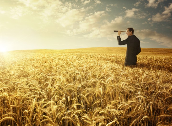 shutterstock_230182939